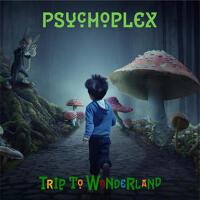 Psychoplex最新專輯_新專輯大全_專輯列表