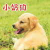 Tiger王千萬歌曲歌詞大全_Tiger王千萬最新歌曲歌詞