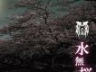 水無桜