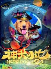 神犬小七第二季未刪減版線上看_全集高清完整版線上看_分集劇情介紹_好看的電視劇