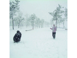 戀雪圖片照片_戀雪