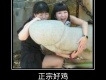 你懂的.圖片照片_你懂的.