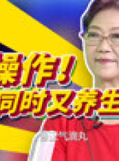 退休生活家最新一期線上看_全集完整版高清線上看_好看的綜藝