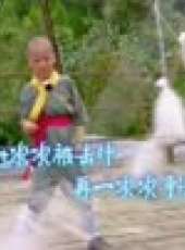 少林英雄最新一期線上看_全集完整版高清線上看_好看的綜藝