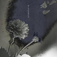 Matt Ryder歌曲歌詞大全_Matt Ryder最新歌曲歌詞