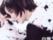 白雪歌曲歌詞大全_白雪最新歌曲歌詞