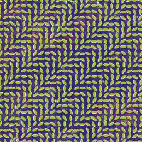Animal Collective圖片照片_Animal Collective