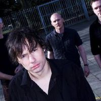 The Pineapple Thief圖片照片_The Pineapple Thief