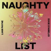 Naughty List專輯_Liam PayneNaughty List最新專輯
