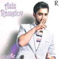 Sensiz