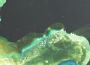 Punching Bag Remixes專輯_Jess ChalkerPunching Bag Remixes最新專輯