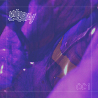 Woozy 001