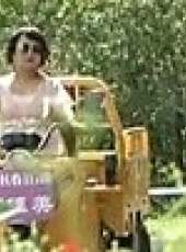 全城熱戀 第12季最新一期線上看_全集完整版高清線上看_好看的綜藝