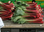 Rhubarb's Revenge
