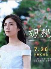 井川遙最新電視劇_井川遙電視劇作品全集線上看_好看的電視劇