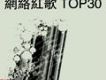 網路紅歌TOP30專輯_華人群星8網路紅歌TOP30最新專輯