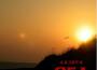 SEA, A Chilled Experience Vol.1專輯_A.K.1974SEA, A Chilled Experience Vol.1最新專輯