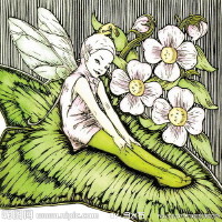 花仙子圖片照片_花仙子