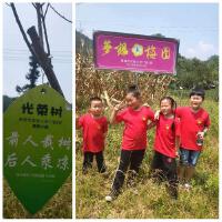 譚貞慧妍歌曲歌詞大全_譚貞慧妍最新歌曲歌詞