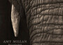 Amy Millan最新歌曲_最熱專輯MV_圖片照片