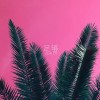 Zealot周星星歌曲歌詞大全_Zealot周星星最新歌曲歌詞