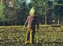 The Allman Brothers band最新歌曲_最熱專輯MV_圖片照片