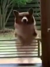 萌次元最新一期線上看_全集完整版高清線上看_好看的綜藝