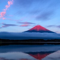 愛喝檸檬茶的喵歌曲歌詞大全_愛喝檸檬茶的喵最新歌曲歌詞
