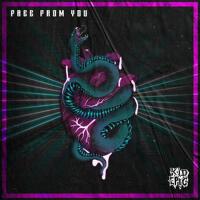 Free From You