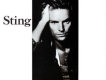 Sting歌曲歌詞大全_Sting最新歌曲歌詞