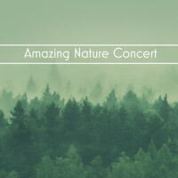 Cheerful Nature Sound Library圖片照片_照片寫真