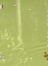 為你而歌最新一期線上看_全集完整版高清線上看_好看的綜藝