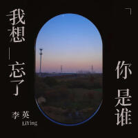 我想忘了你是誰