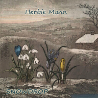Snowdrop專輯_Herbie MannSnowdrop最新專輯
