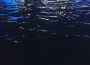 Wisp X最新歌曲_最熱專輯MV_圖片照片