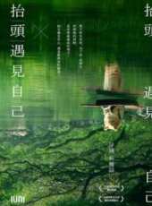 溫貞菱演過的電影電視劇線上看_影視作品大全_好看的明星