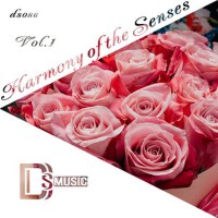 Harmony of the Senses, Vol.1專輯_Alexey KorovinHarmony of the Senses, Vol.1最新專輯