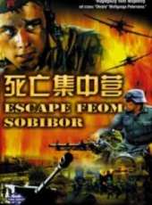 金鑫演過的電影電視劇線上看_影視作品大全_好看的明星
