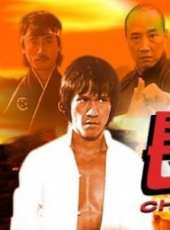 鹿村泰祥演過的電影電視劇線上看_影視作品大全_好看的明星