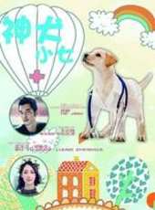 郭碧婷演過的電影電視劇線上看_影視作品大全_好看的明星
