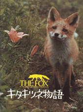 狐狸的故事線上看_高清完整版線上看_好看的電影