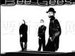 The Tribute Bee Gees
