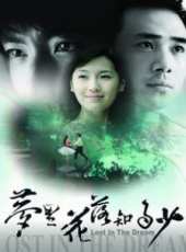 王媛可演過的電影電視劇線上看_影視作品大全_好看的明星