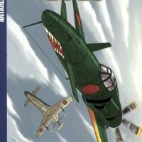 Luftwaffe圖片照片_Luftwaffe