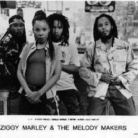 Ziggy Marley & the Melody Makers圖片照片_Ziggy Marley & the Melody Makers
