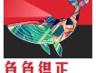 鯨魚島樂隊歌曲歌詞大全_鯨魚島樂隊最新歌曲歌詞