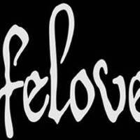 Lifelover圖片照片_Lifelover
