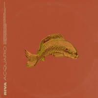 Acquario