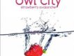 Strawberry Avalanche專輯_Owl CityStrawberry Avalanche最新專輯