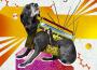Crazy Itch Radio專輯_Basement JaxxCrazy Itch Radio最新專輯